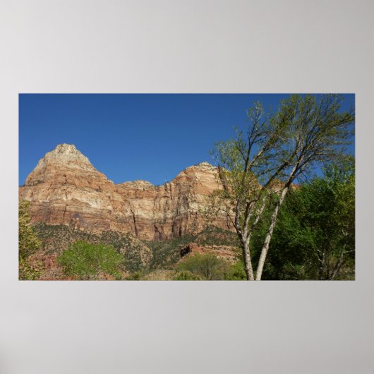 Red Rocks in Zion National Park Poster (Voorkant)