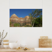 Red Rocks in Zion National Park Poster (Keuken)