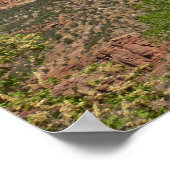 Red Rocks in Zion National Park Poster (Hoek)