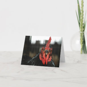 Red Rooster Bedankkaart