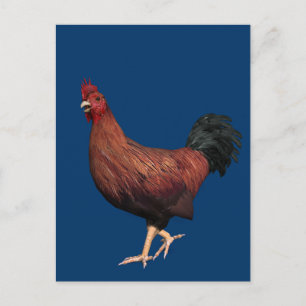 Red Rooster Briefkaart