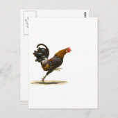 Red Rooster Briefkaart (Voorkant / Achterkant)