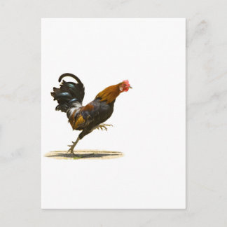 Red Rooster Briefkaart
