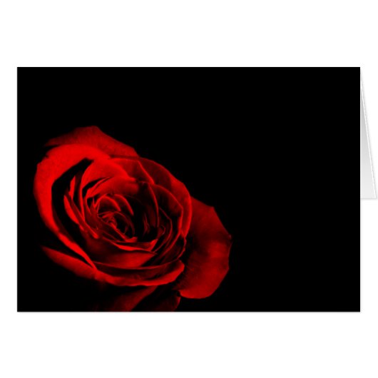 Red Rose (Voorkant Horizontaal)