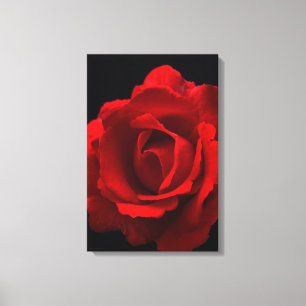 Red Rose 16x24 (40x60cm) waccna Canvas Afdruk