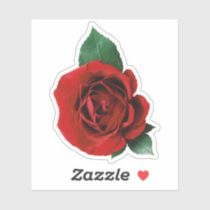 Red Rose 1 Sticker