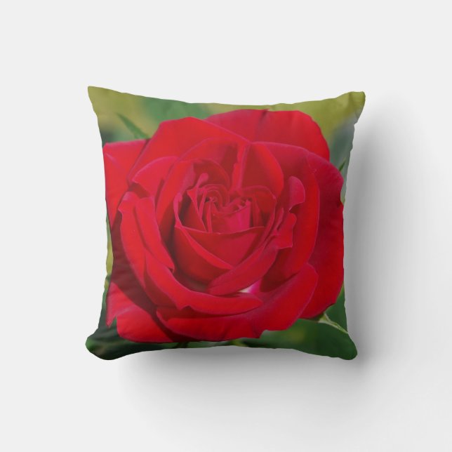 Red Rose Beauty Kussen (Voorkant)