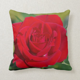 Red Rose Beauty Kussen