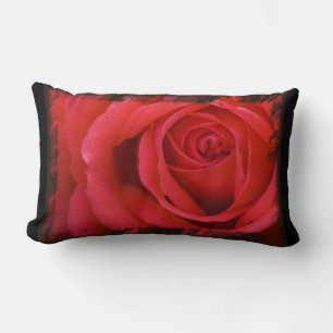 Red Rose Black Border Lumbar Kussen