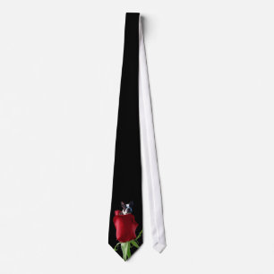 Red rose Boston Terrier stropdas