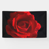 Red Rose brancna Spandoek (Horizontaal)