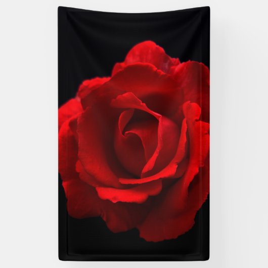 Red Rose brancna Spandoek (Verticaal)
