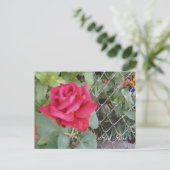 Red Rose Briefkaart (Staand voorkant)