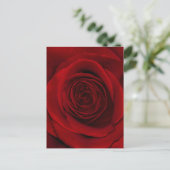 Red Rose Briefkaart (Staand voorkant)