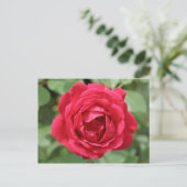 Red Rose Briefkaart (Staand voorkant)