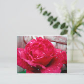 Red Rose Briefkaart (Staand voorkant)