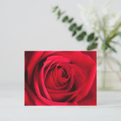 Red Rose Briefkaart (Staand voorkant)