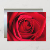 Red Rose Briefkaart (Voorkant / Achterkant)