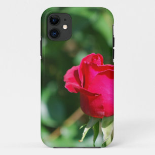 Red Rose Bud iPhone 11 Hoesje