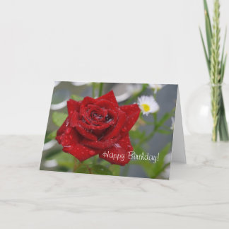Red Rose Bud Kaart