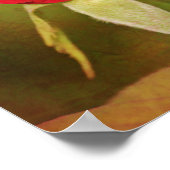 Red Rose Bud Photographic Art Afdrukken Poster (Hoek)