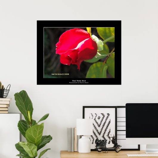 Red Rose Bud Poster (Thuiskantoor)