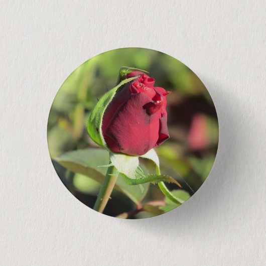 Red Rose Bud Ronde Button 3,2 Cm (Voorkant)