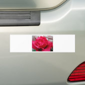 Red Rose Bumpersticker (Op auto)