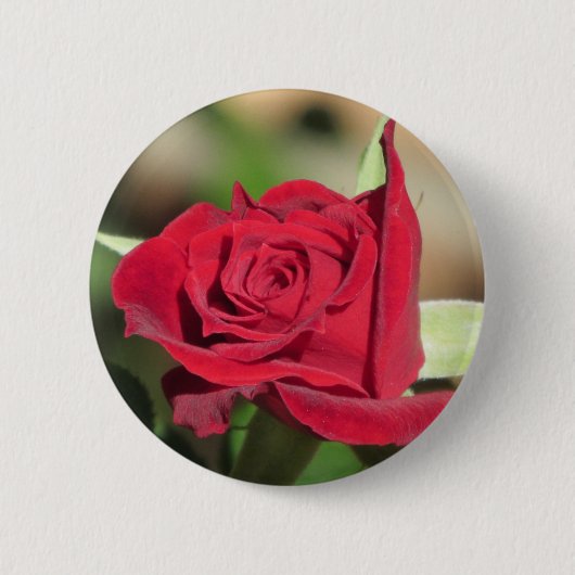Red Rose Button (Voorkant)