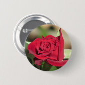 Red Rose Button (Voorkant /achterkant)