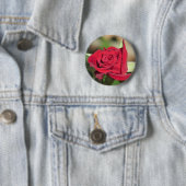 Red Rose Button (In situ)