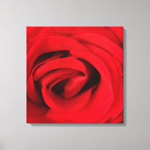Red Rose Canvas Afdruk (Voorkant)