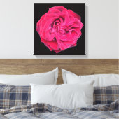 Red Rose Canvas Afdruk (Insitu (Slaapkamer))