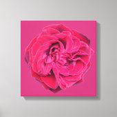 Red Rose Canvas Afdruk (Voorkant)