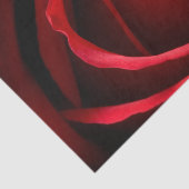 Red Rose Custom 10 lb-weefselpapier, wit Tissuepapier (Detail)