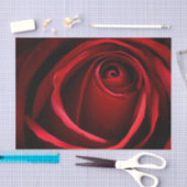 Red Rose Custom 10 lb-weefselpapier, wit Tissuepapier (Craft)