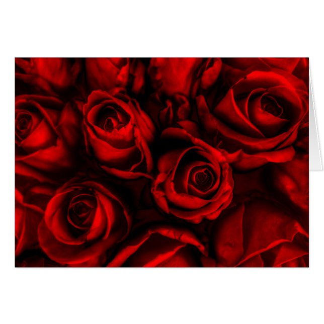 Red Rose Elegance (Voorkant Horizontaal)