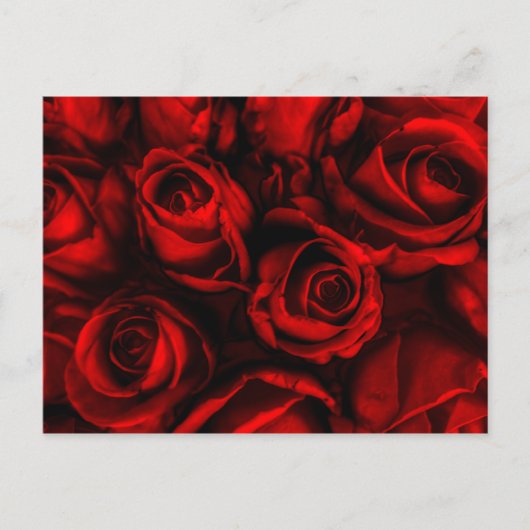 Red Rose Elegance Briefkaart (Voorkant)