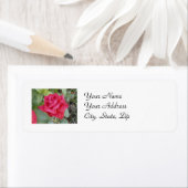 Red Rose Etiket (Insitu)