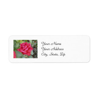 Red Rose Etiket