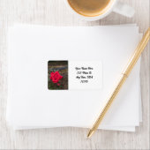 Red Rose Etiket (Insitu)