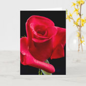 RED ROSE FLEURS Photographie Cartes d'anniversaire (Fleur jaune)