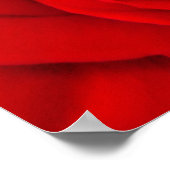 Red Rose Floral Poster (Hoek)