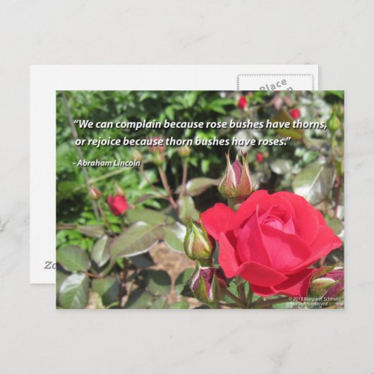 Red Rose Flower Briefkaart met dankbaarheid Quote (Voorkant / Achterkant)