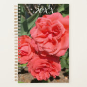 Red Rose Flower Cluster In Garden Photograph Planner (Voorkant)
