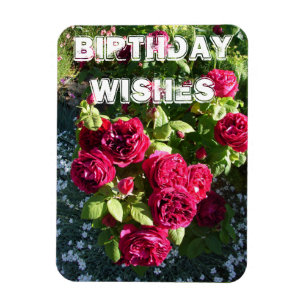 Red Rose Flower Garden floral Happy Birthday Magneet