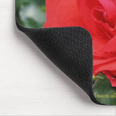 Red Rose Flower Photography Mousepad Muismat (Hoek)