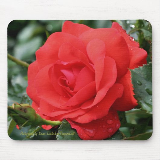 Red Rose Flower Photography Mousepad Muismat (Voorkant)