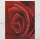 Red Rose Flyer (Voorkant)