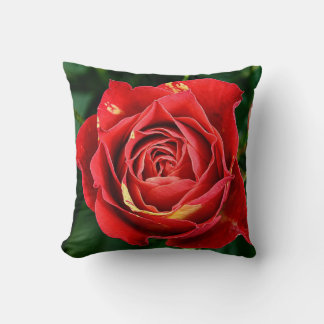 Red Rose Fotografie Kussen